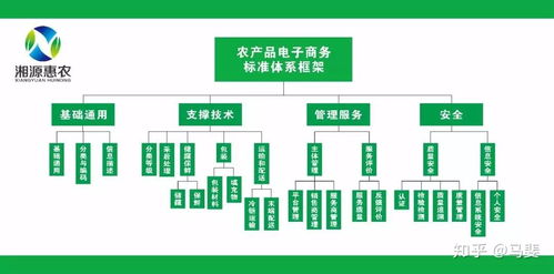 構(gòu)建智能引領(lǐng)的農(nóng)產(chǎn)品電商標(biāo)準(zhǔn)體系 標(biāo)準(zhǔn)化、系統(tǒng)化與工程化路徑